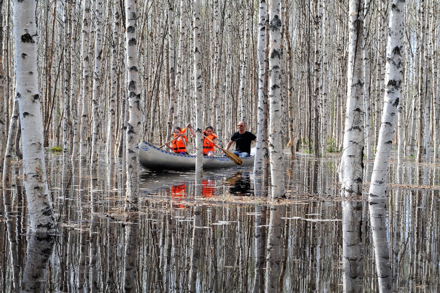 Canoeing Success, Part III